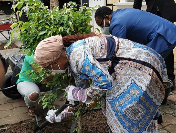 Lanzamiento del proyecto de plantación de árboles en la ciudad de Malabo |  Revista Real Equatorial Guinea