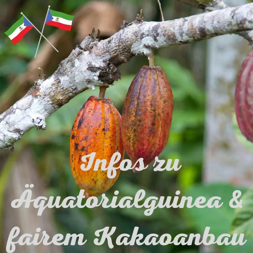 Priscila Diosso Aranda en Alemania sobre el cacao de Guinea Ecuatorial: 