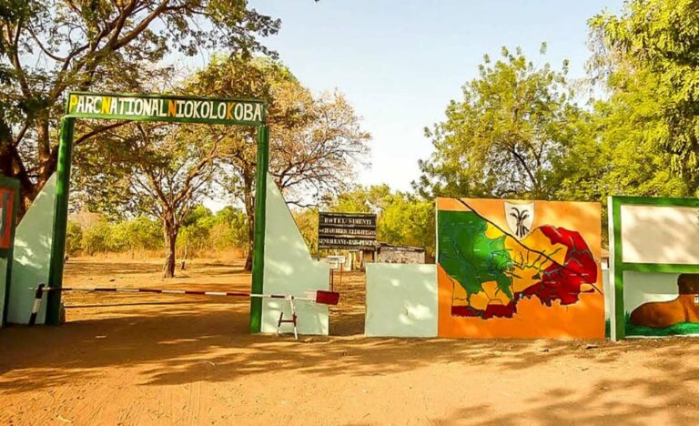 La UNESCO excluye al mayor parque natural de Senegal de su lista de patrimonio en peligro