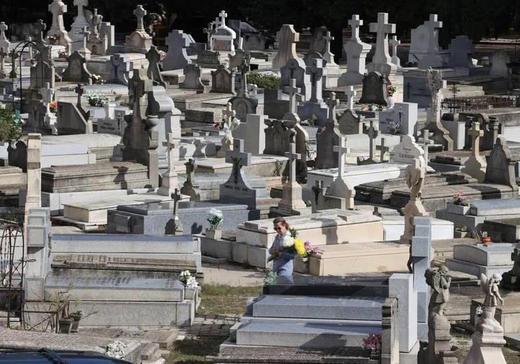 ¡Insólito! En España un hombre desentierra el cadáver de su madre para llevárselo a casa